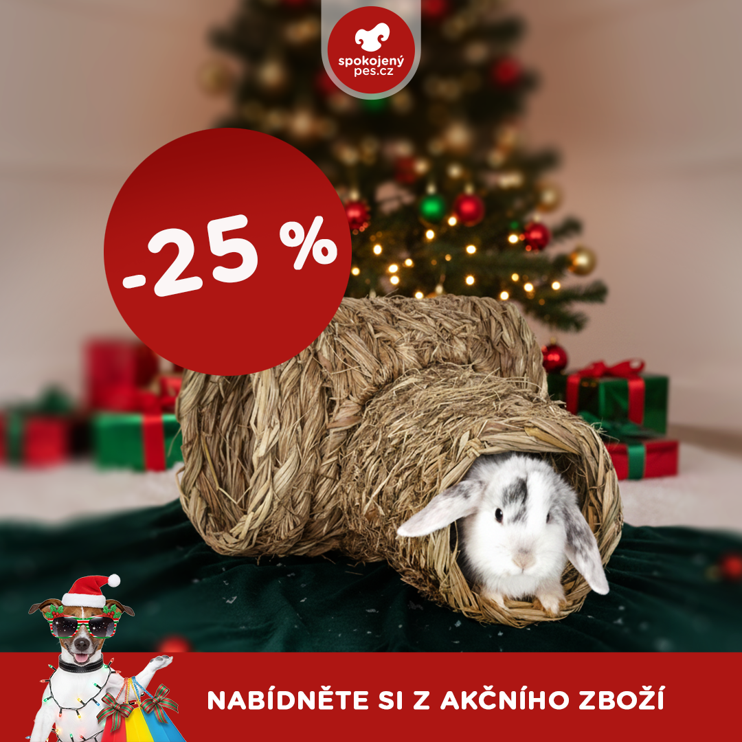 akční prosinec_ostatní5.png